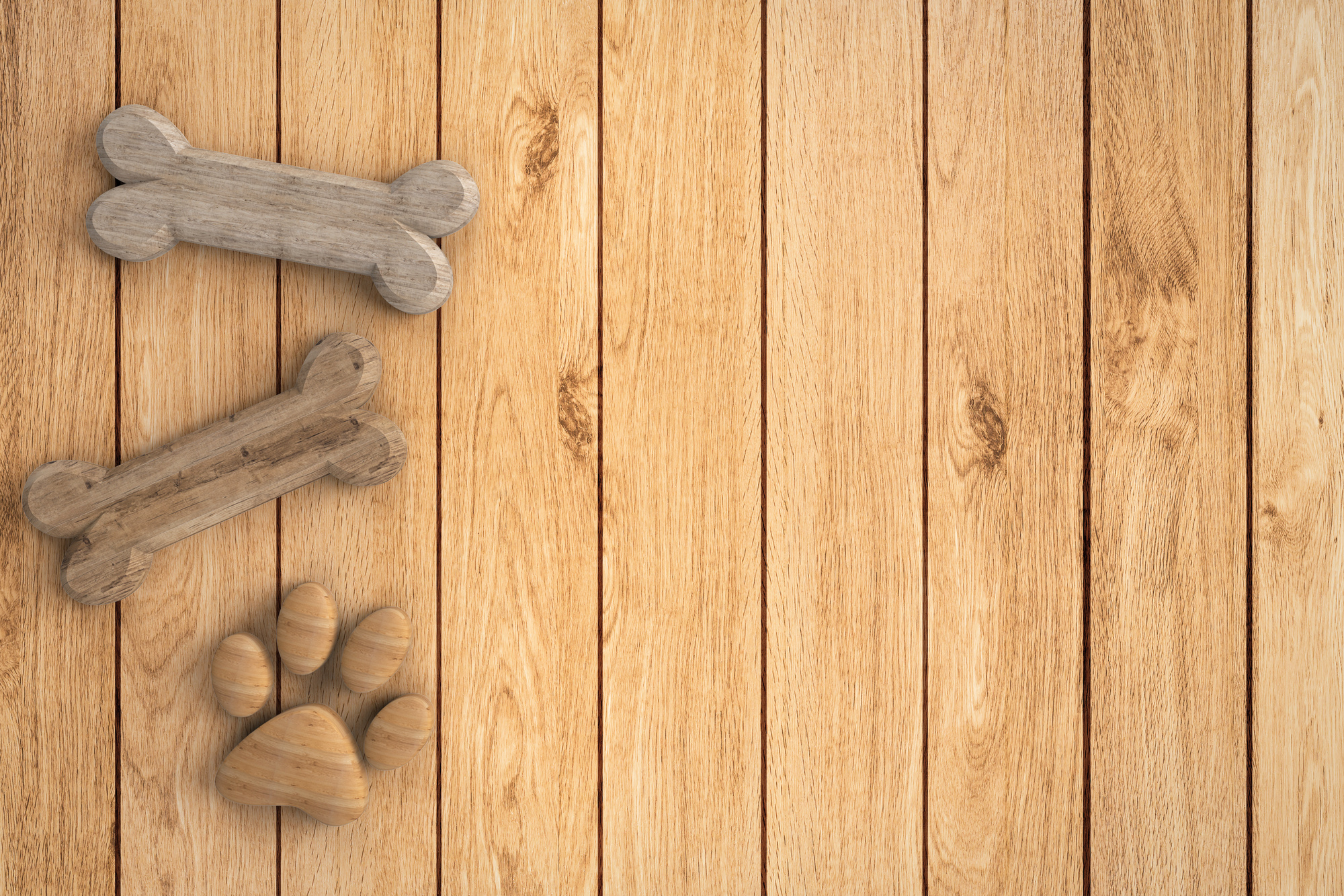 dog bones on wooden background
